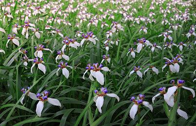 《量子误差》当前在Xbox Series S上运行效果很差